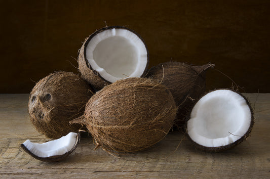 Coconut (3)