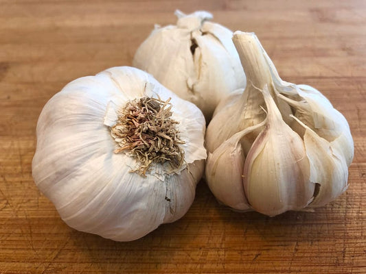 Garlic (1 pack)
