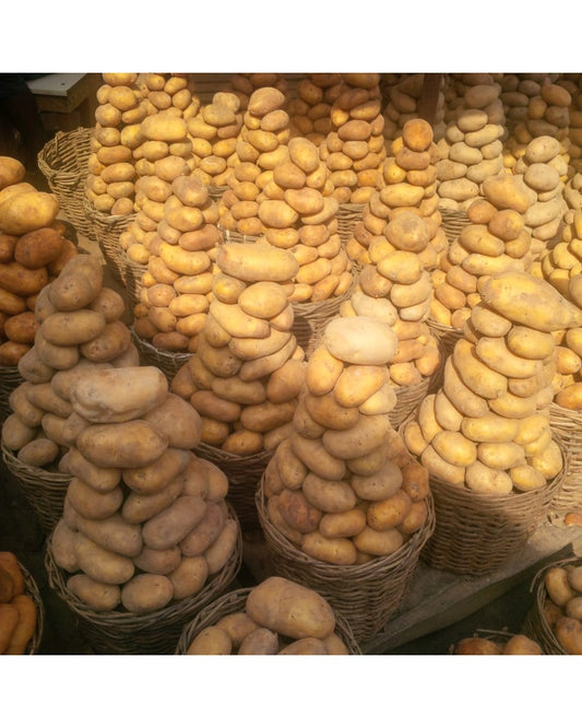 Irish potatoes (Basket)