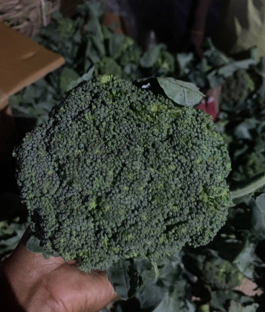 Broccoli (per head) Local