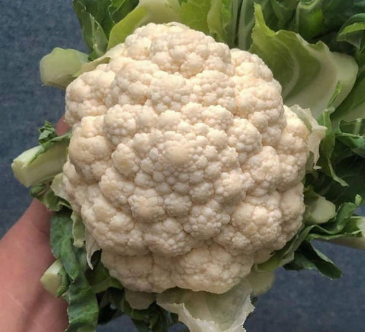Cauliflower (500g) imported